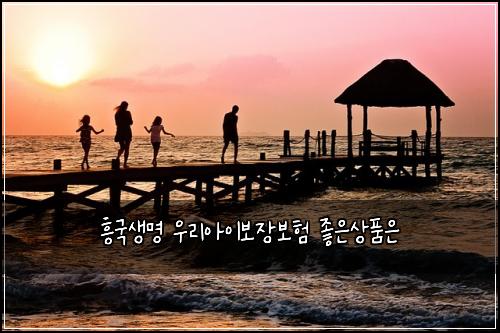 흥국생명 우리아이보장보험 좋은상품은 