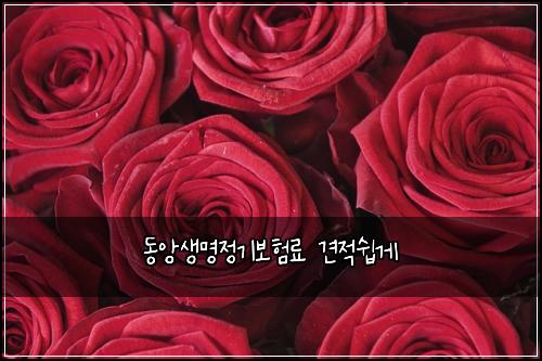 동앙생명정기보험료 견적쉽게