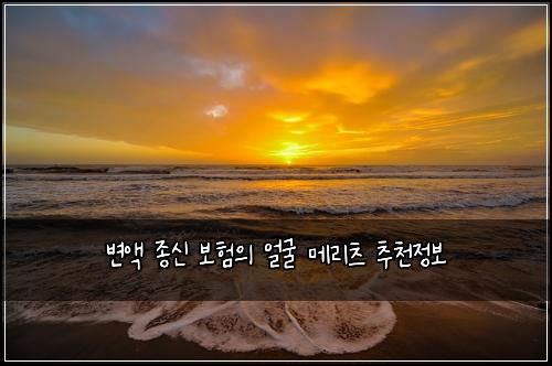 변액 종신 보험의 얼굴 메리츠 추천정보