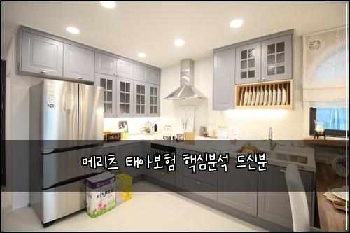 메리츠 태아보험 핵심분석  드신분