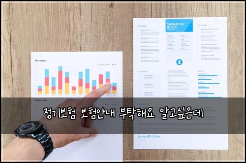 정기보험 보험안내  부탁해요 알고싶은데