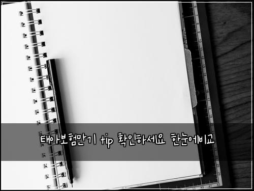 태아보험만기 tip 확인하세요 한눈에비교
