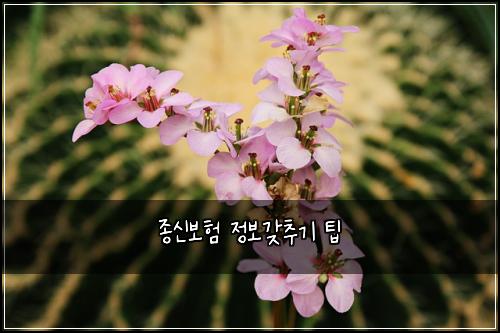 ์ข
์ ๋ณดํ ์ ๋ณด๊ฐ์ถ๊ธฐ ํ