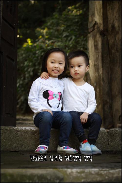 ํํ์๋ณด ์๋ณดํ ์ฌ์ด๊ฒฌ์ ๊ฒฌ์ 