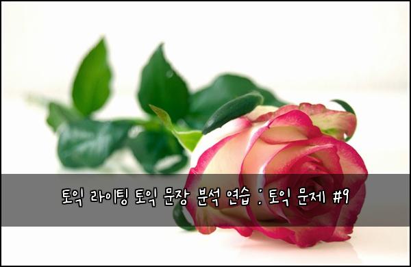 토익 라이팅 토익 문장 분석 연습 : 토익 문제 #9
