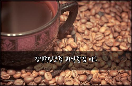 정액형암보험 파악할점  비교