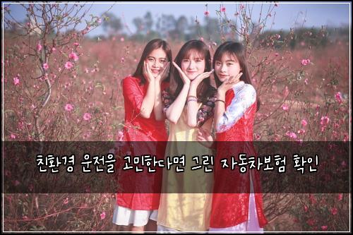 친환경 운전을 고민한다면 그린 자동차보험 확인