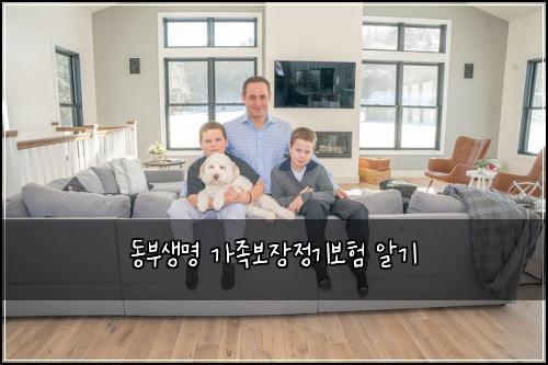 동부생명 가족보장정기보험 알기