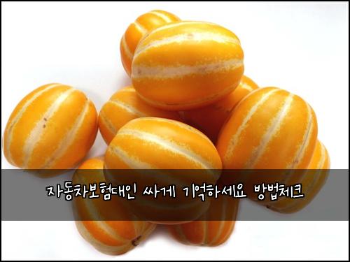 ์๋์ฐจ๋ณดํ๋์ธ ์ธ๊ฒ ๊ธฐ์ตํ์ธ์ ๋ฐฉ๋ฒ์ฒดํฌ
