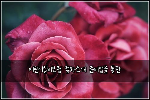 어린이실비보험 절차소개  준비법을 통한