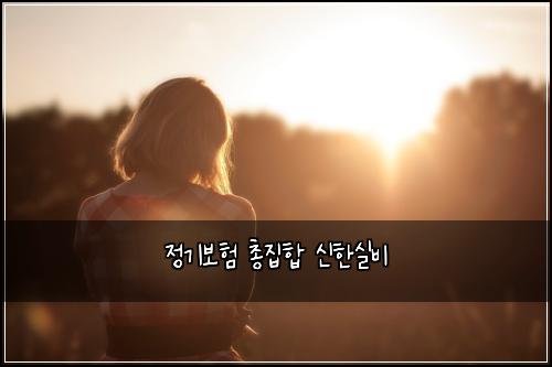 정기보험 총집합  신한실비