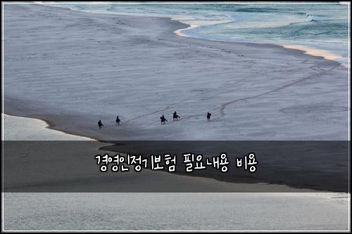 경영인정기보험 필요내용  비용