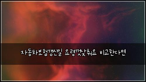 자동차보험갱신일 요령껏낮춰요 비교한다면