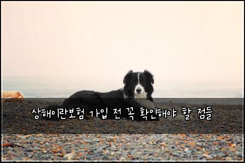 상해이란보험 가입 전 꼭 확인해야 할 점들