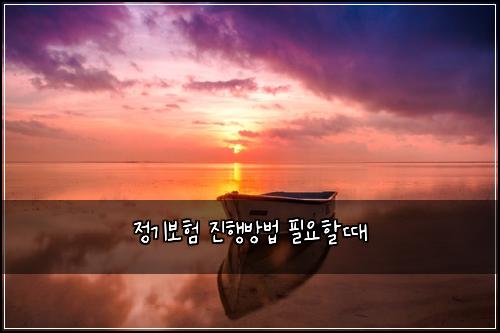 정기보험 진행방법  필요할때