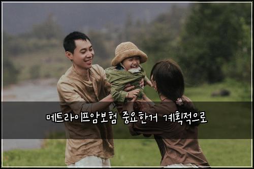 메트라이프암보험 중요한거  계획적으로