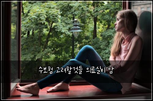 수보험 고려할것들  의료실비 암