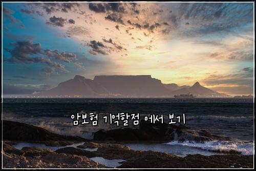 암보험 기억할점  에서 보기