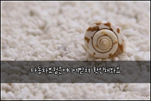 자동차보험은어디에받쳐 확인해봐요