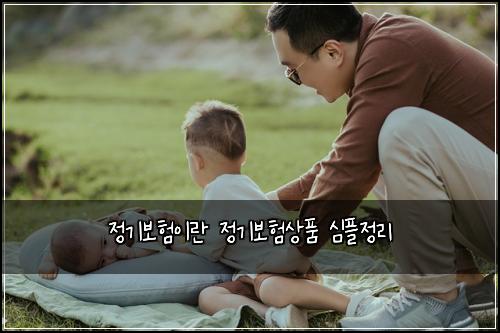 정기보험이란 정기보험상품 심플정리
