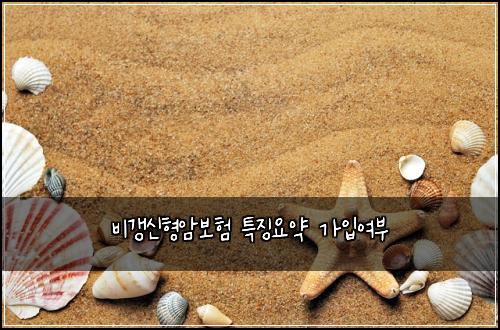 비갱신형암보험 특징요약  가입여부