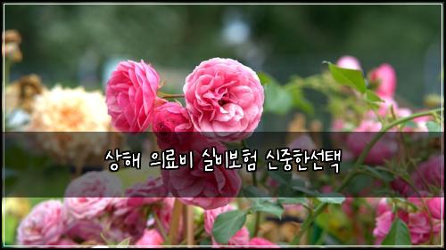 상해 의료비 실비보험 신중한선택 