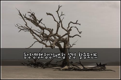 동양생명보험상해보험 설명 활용포인트
