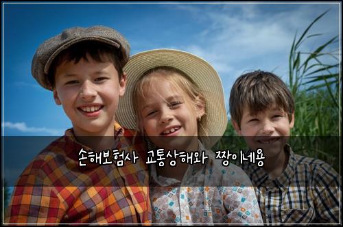 손해보험사 교통상해와 짱이네용
