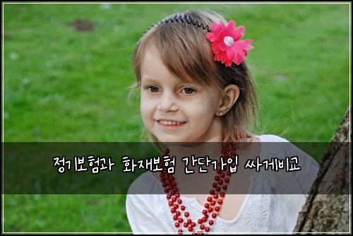 정기보험과 화재보험 간단가입 싸게비교