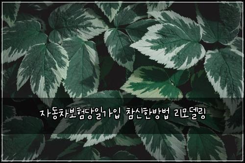 자동차보험당일가입 참신한방법 리모델링