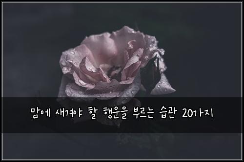 맘에 새겨야 할 행운을 부르는 습관 20가지