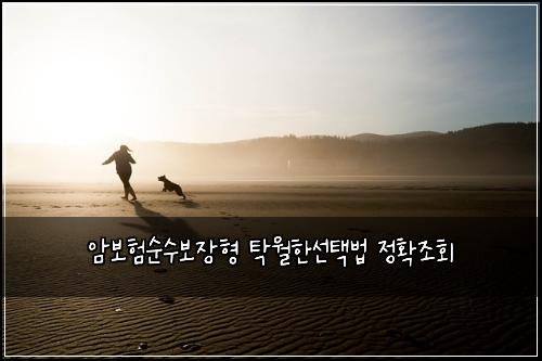 암보험순수보장형 탁월한선택법 정확조회