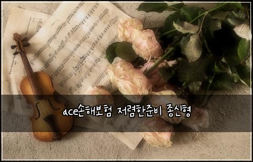 ace손해보험 저렴한준비  종신형