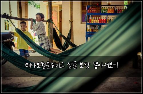 태아보험순위비교 상품 보장 뽑아서보기