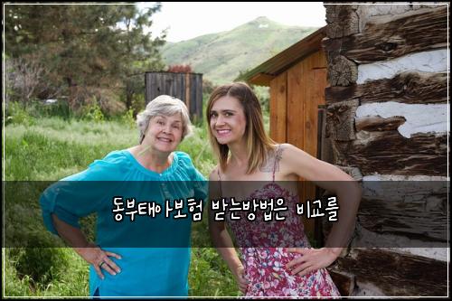 동부태아보험 받는방법은  비교를