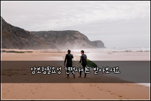 암보험필요성 견적사이트 받아보셔요