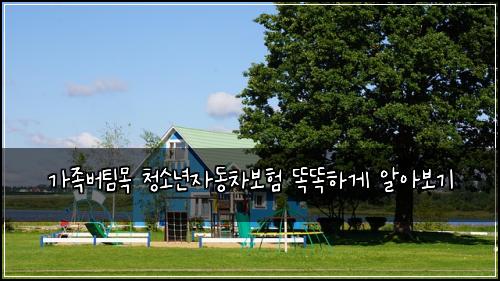가족버팀목 청소년자동차보험 똑똑하게 알아보기