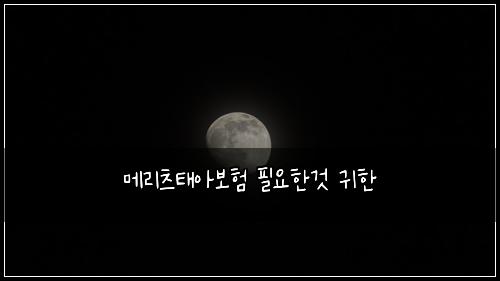 메리츠태아보험 필요한것  귀한