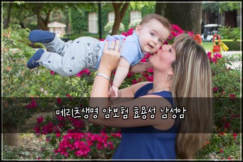 메리츠생명 암보험 효용성  남성암