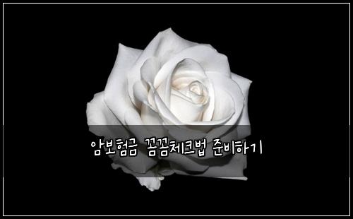 암보험금 꼼꼼체크법 준비하기