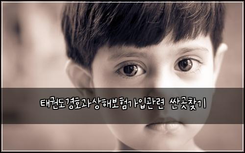 태권도경호과상해보험가입관련 싼곳찾기
