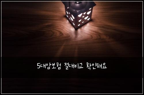 5대암보험 절대비교  확인해요