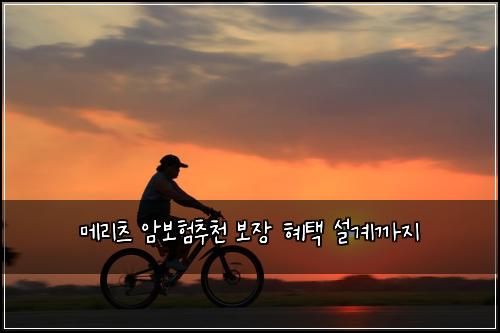 메리츠 암보험추천 보장 혜택 설계까지