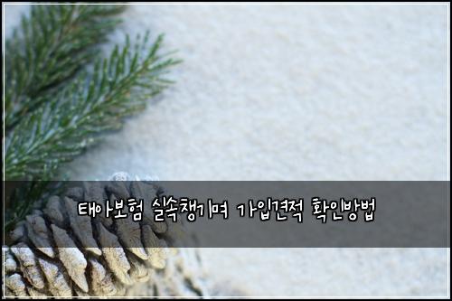 태아보험 실속챙기며  가입견적 확인방법