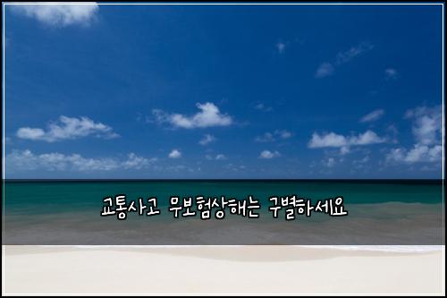 교통사고 무보험상해는 구별하세요