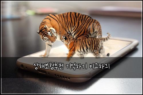 ์ํด๋ณดํ์ถ์ฒ ๊ธฐ์ตํ๊ธฐ ๋น๊ตํ๊ธ