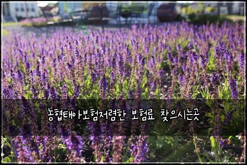 ๋ํํ์๋ณดํ์ ๋ ดํ ๋ณดํ๋ฃ ์ฐพ์ผ์๋๊ณณ