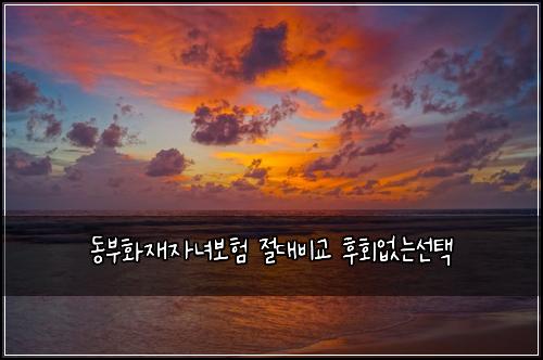동부화재자녀보험 절대비교  후회없는선택