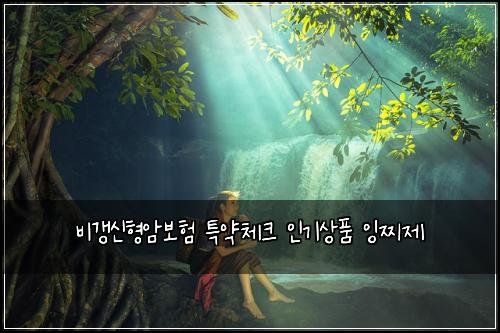 비갱신형암보험 특약체크  인기상품 잉찌제