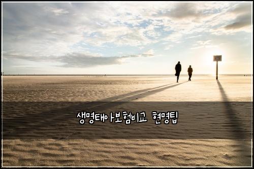 생명태아보험비교 현명팁